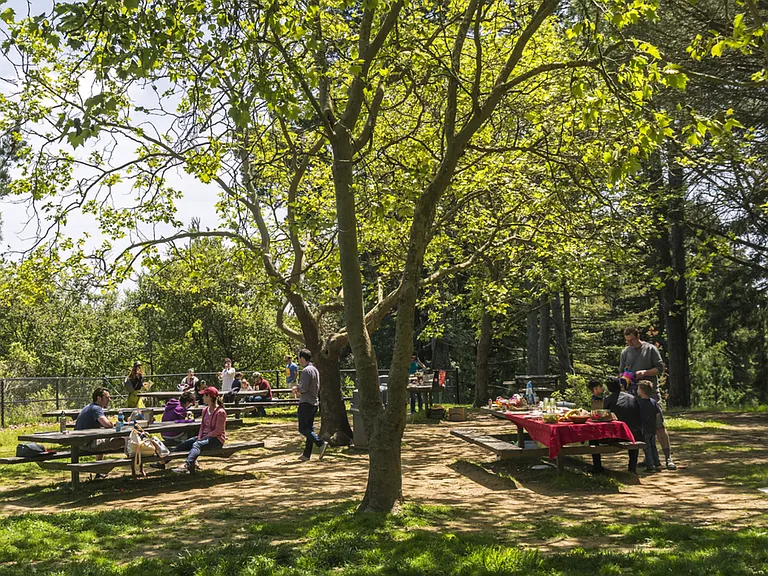 Picnic Area
Expected Fall 2027