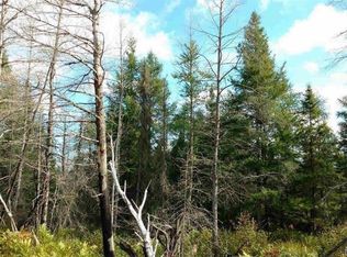 23305 Duck Lake Trl, Newberry, MI 49868