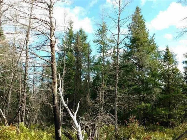 23305 Duck Lake Trl, Newberry, MI 49868