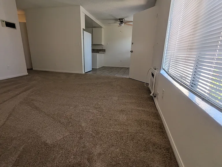 1054 S Magnolia Ave #8 — Photo 4