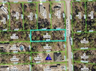 11263 Kiska Wren Rd, Weeki Wachee, FL 34614