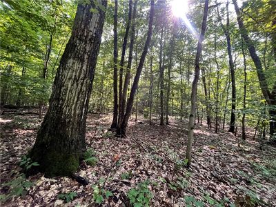 503 Centerville Rd #2, Pulaski, NY, 13142