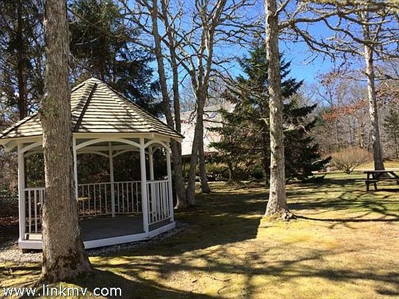 Gazebo, pines and meadow