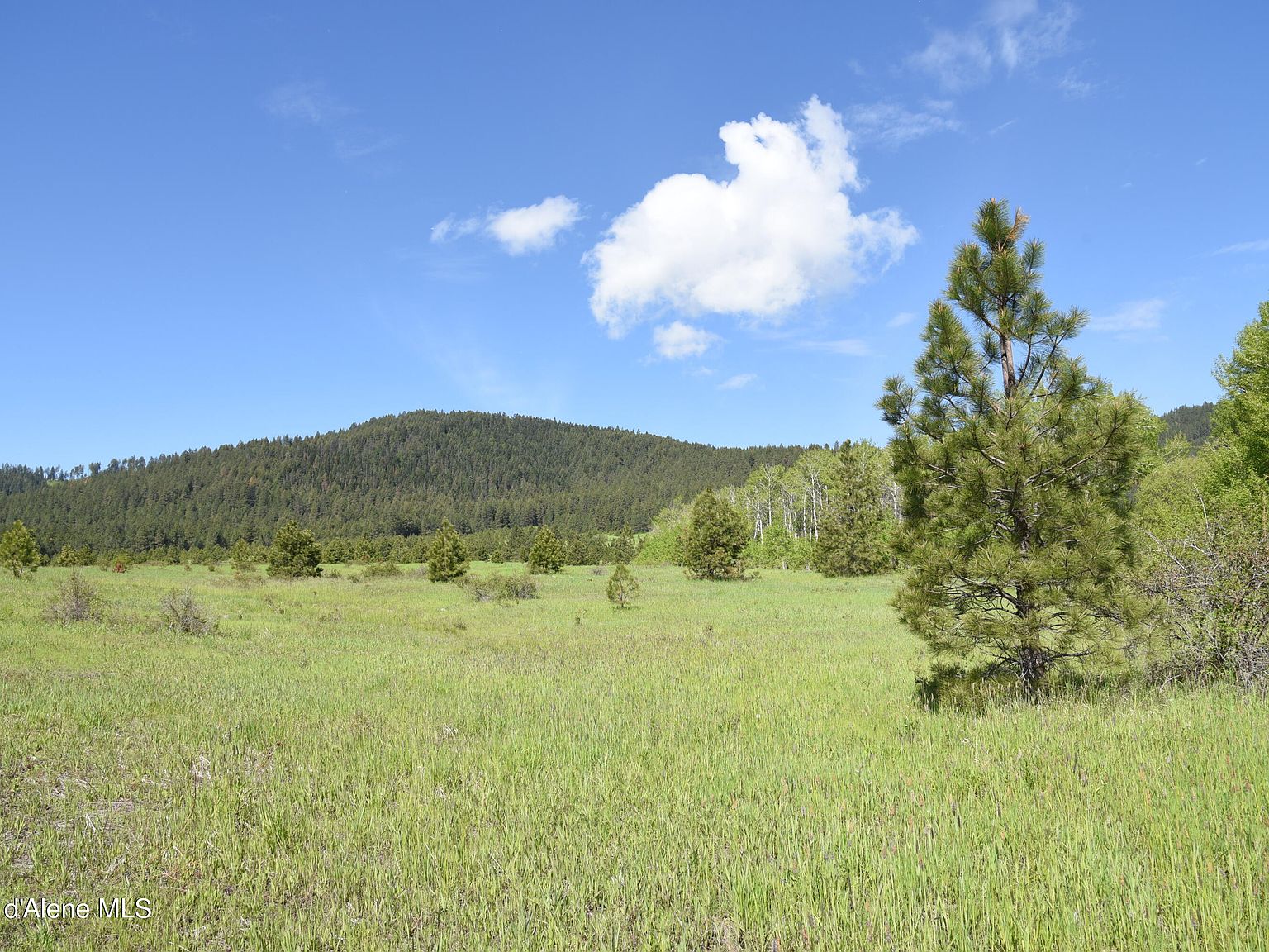 12 Vine Maple Rd, Desmet, ID 83824 MLS 24745 Zillow