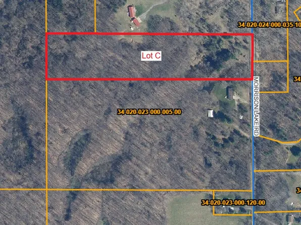 6286 Morrison Lake Rd Lot C, Saranac, MI 48881