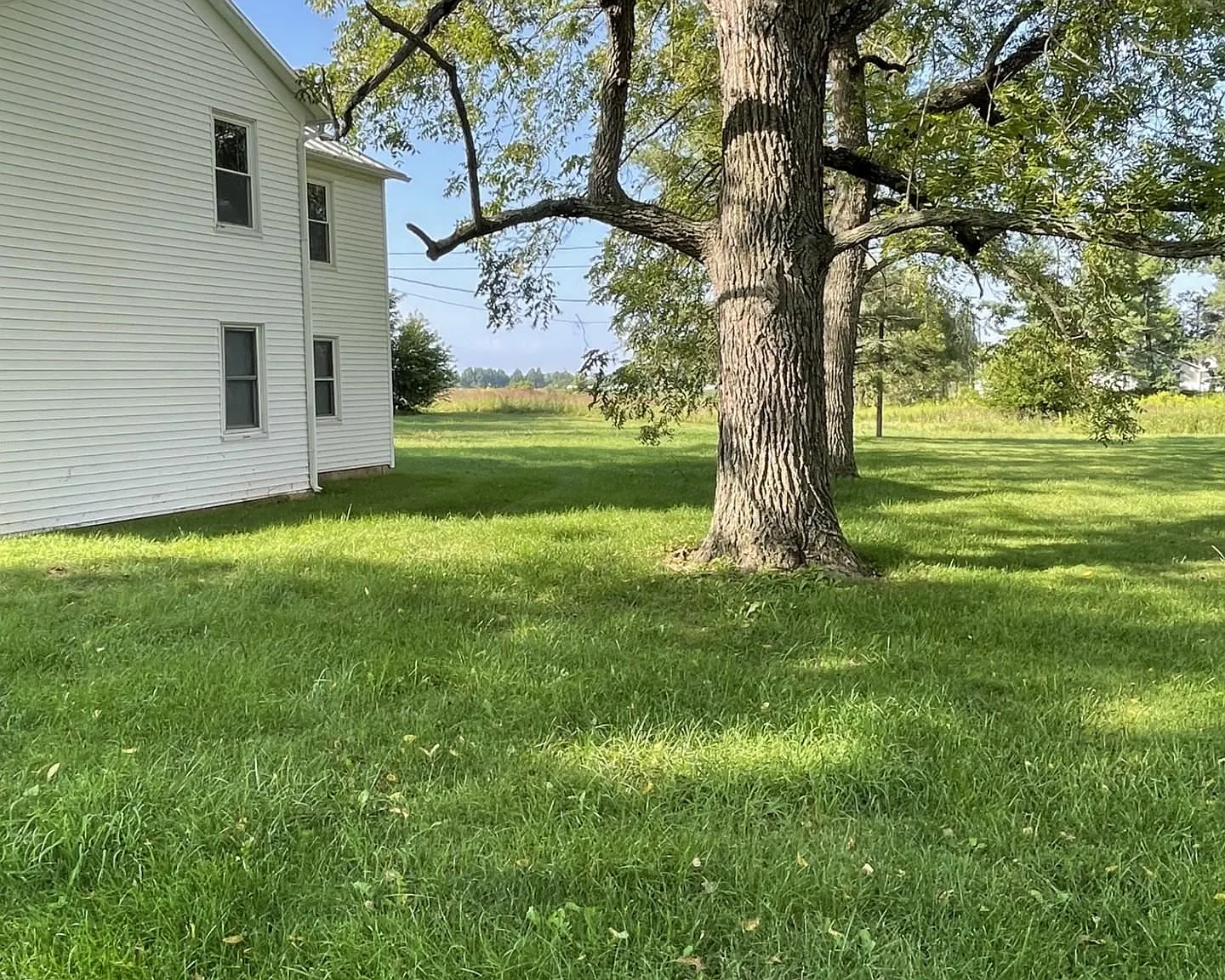 3 bed, 1.0 bath, 1145 sqft, $1,600 — Photo 4