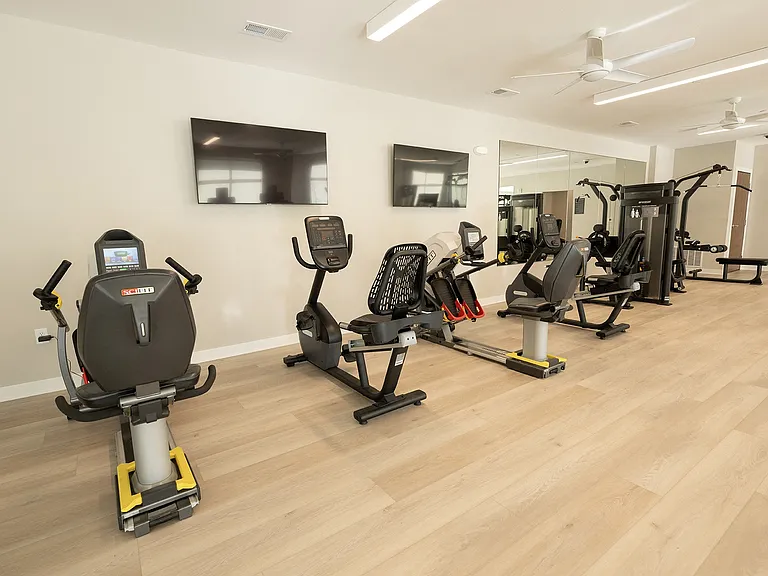 State-of-the-art fitness equipment