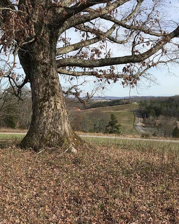 1st image of 975 County Road 316
