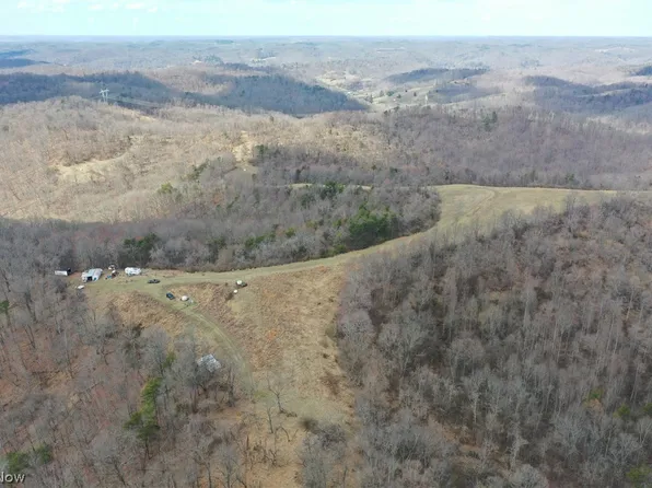 1 Sarvis Fork Rd, Sandyville, WV 25275
