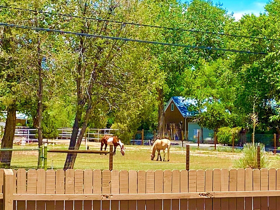 View from kitchen window