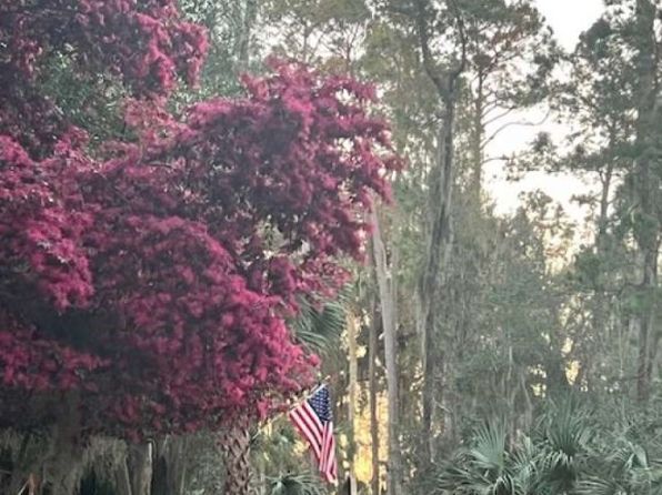 48 Delegal Rd, Savannah, GA 31411