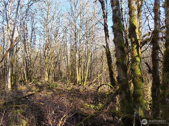 2nd image of 115 Campground Lane