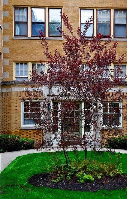 1st image of 248 Washington Blvd APT 1A