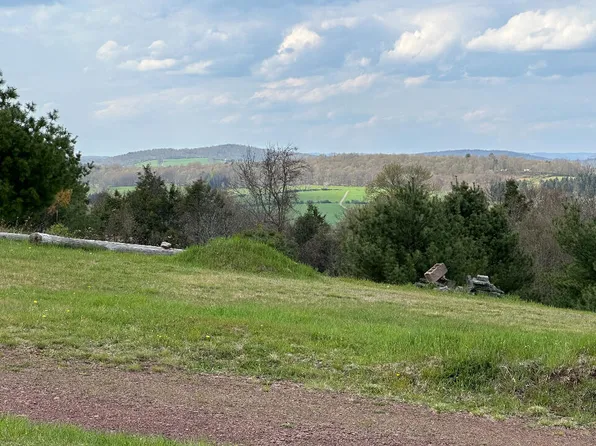 Milanville Rd, Beach Lake, PA 18405
