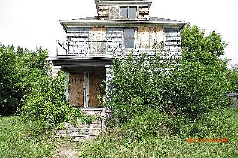 11137 Rosemary