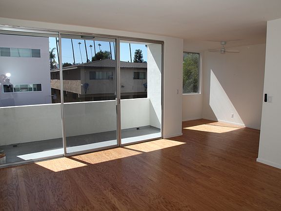 Sun in the afternoon