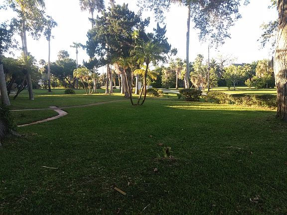 Front Yard
Marion ave