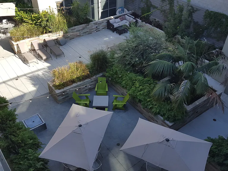 Olea — Photo 8