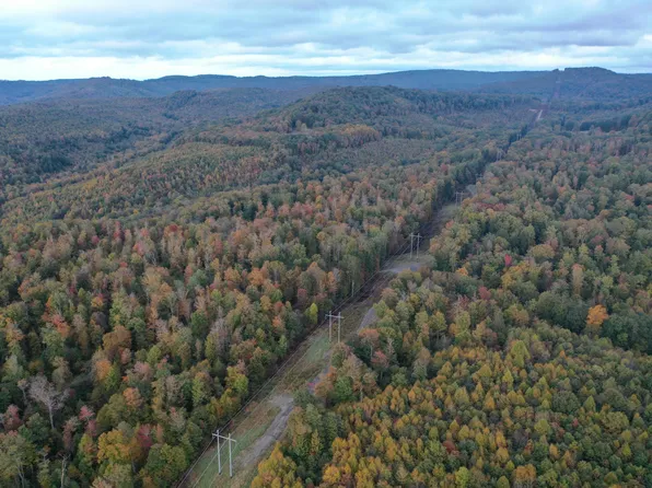 Hurricane Ridge Rd, Charmco, WV 25958