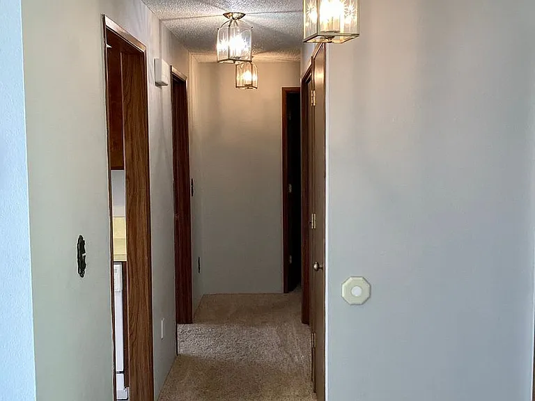 2462 Hawkins St — Photo 13