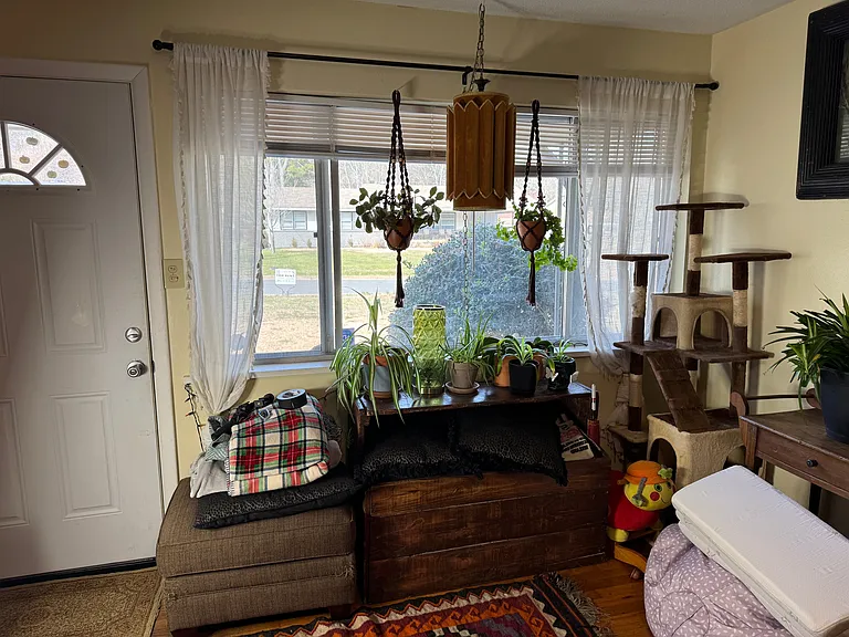 258 James St — Photo 35