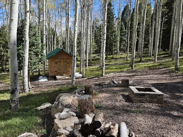571 Crest Drive, Cimarron, CO 81220