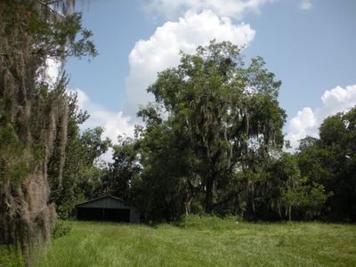16705 NW Highway 225, Reddick, FL, 32686