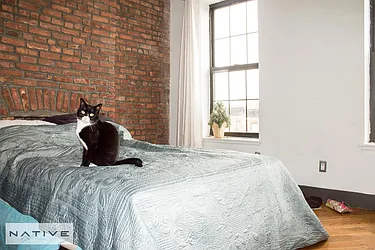 Rented by Native Real Estate LLC