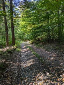 700 Campbell Brook Rd, Downsville, NY, 13755