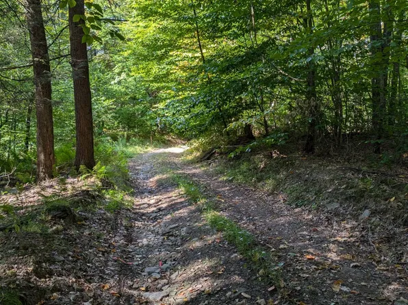 700 Campbell Brook Rd, Downsville, NY 13755