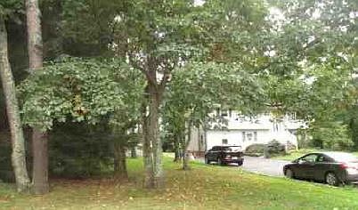 2nd image of 209 Dey Grove Rd
