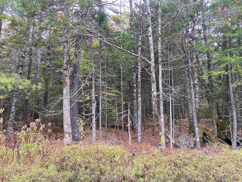 2nd image of LOT 49 Sunrise Rd N