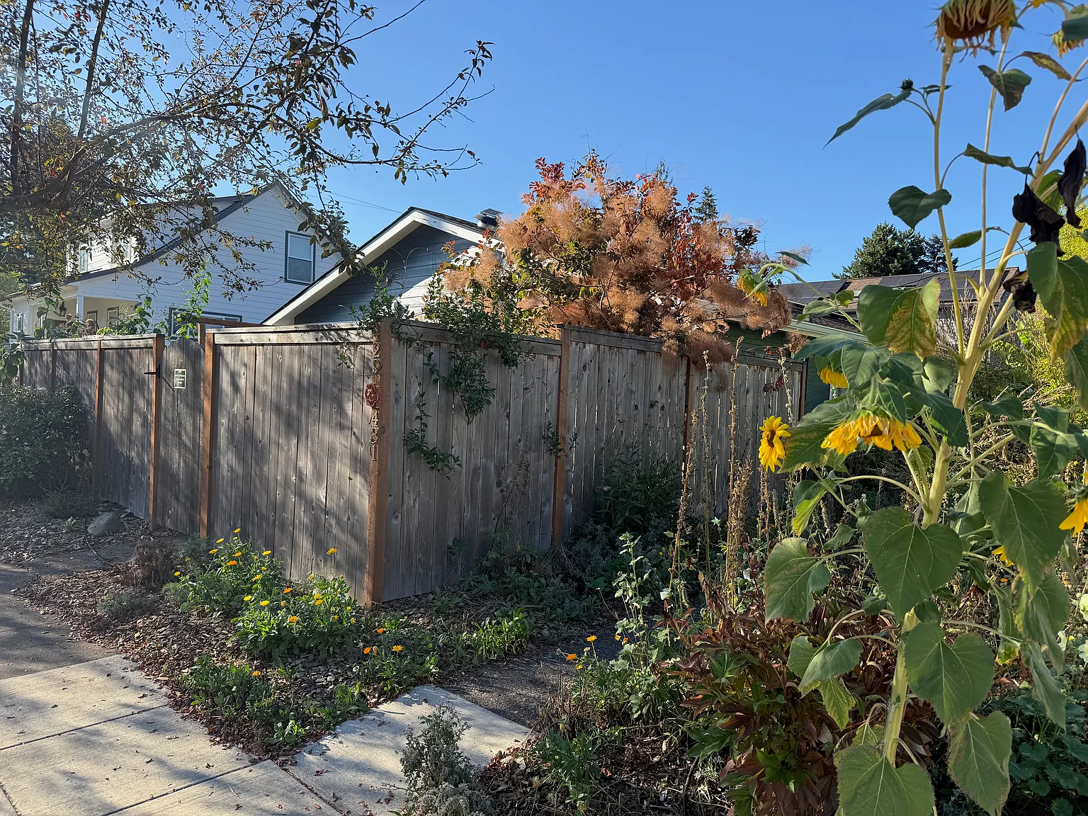 2 bed, 900 sqft, $2,500 — Photo 3