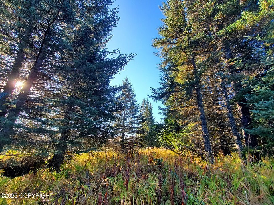 1st image of 67572 Shavila Rd