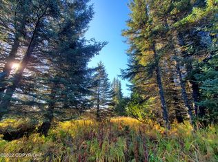 67572 Shavila Rd, Ninilchik, AK 99639