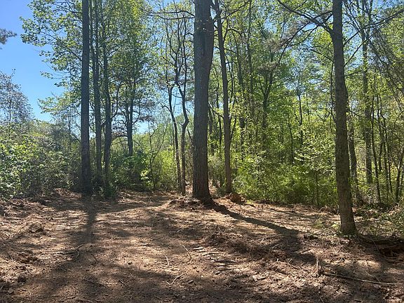 5th image of 99 County Road 53