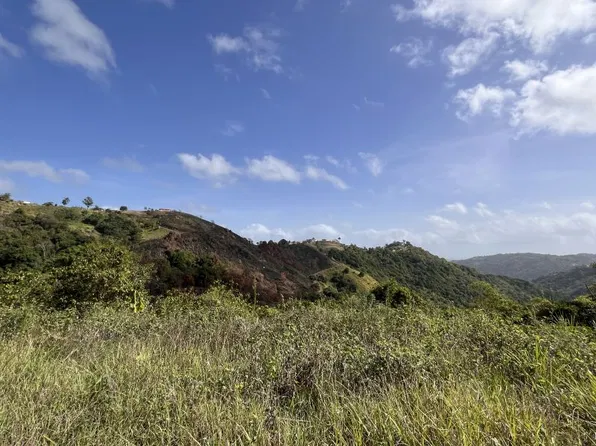 State Highway 155 Carr #39.5, Morovis, PR 00687