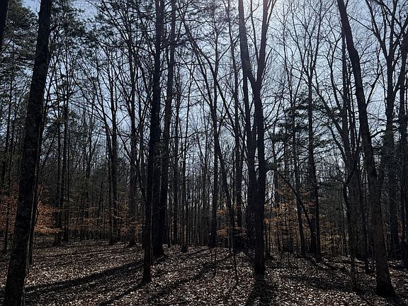 2nd image of 0 Step Rock Hill Rd