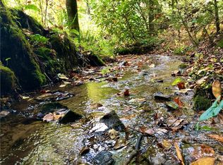 20 Still Branch Rd, Brevard, NC 28712