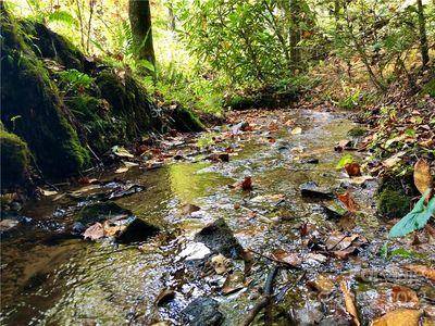 20 Still Branch Rd, Brevard, NC, 28712