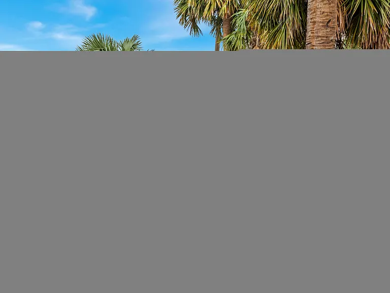 Palms at Chimney Rock — Photo 15