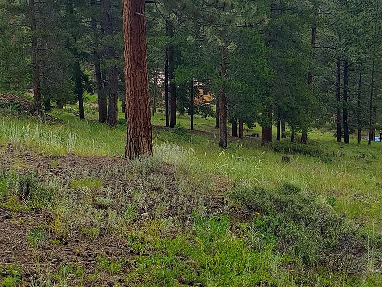 765 Cabin Creek Rd — Photo 21