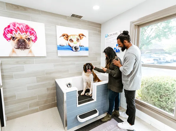 The Willows of Plainview