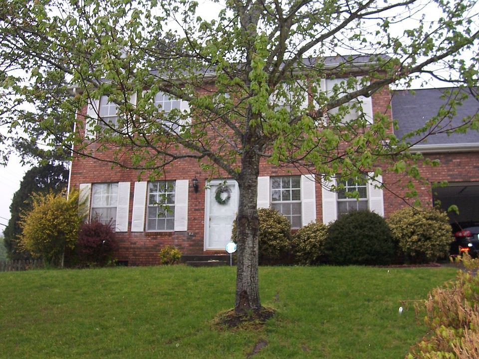 First spring in our new home.