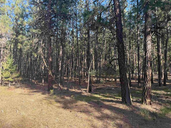 25815 W Long Lake Rd, Ford, WA 99013