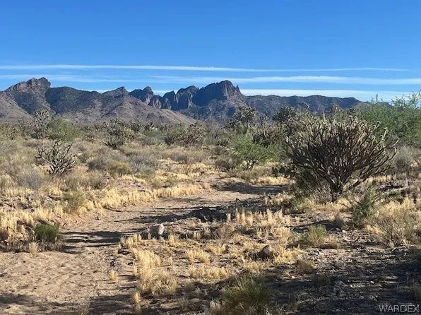 0 Corner 20th, Dolan Springs, AZ 86441