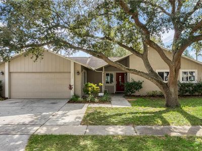 1506 Caird Way, Palm Harbor, FL, 34683