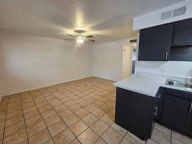 653 E Brown Rd #653 — Photo 8