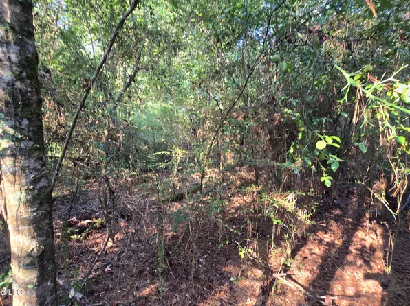 Carolina St, Roxie, MS 39661