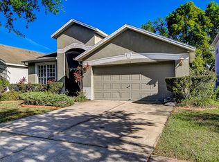 11116 Silver Dancer Dr, Riverview, FL 33579